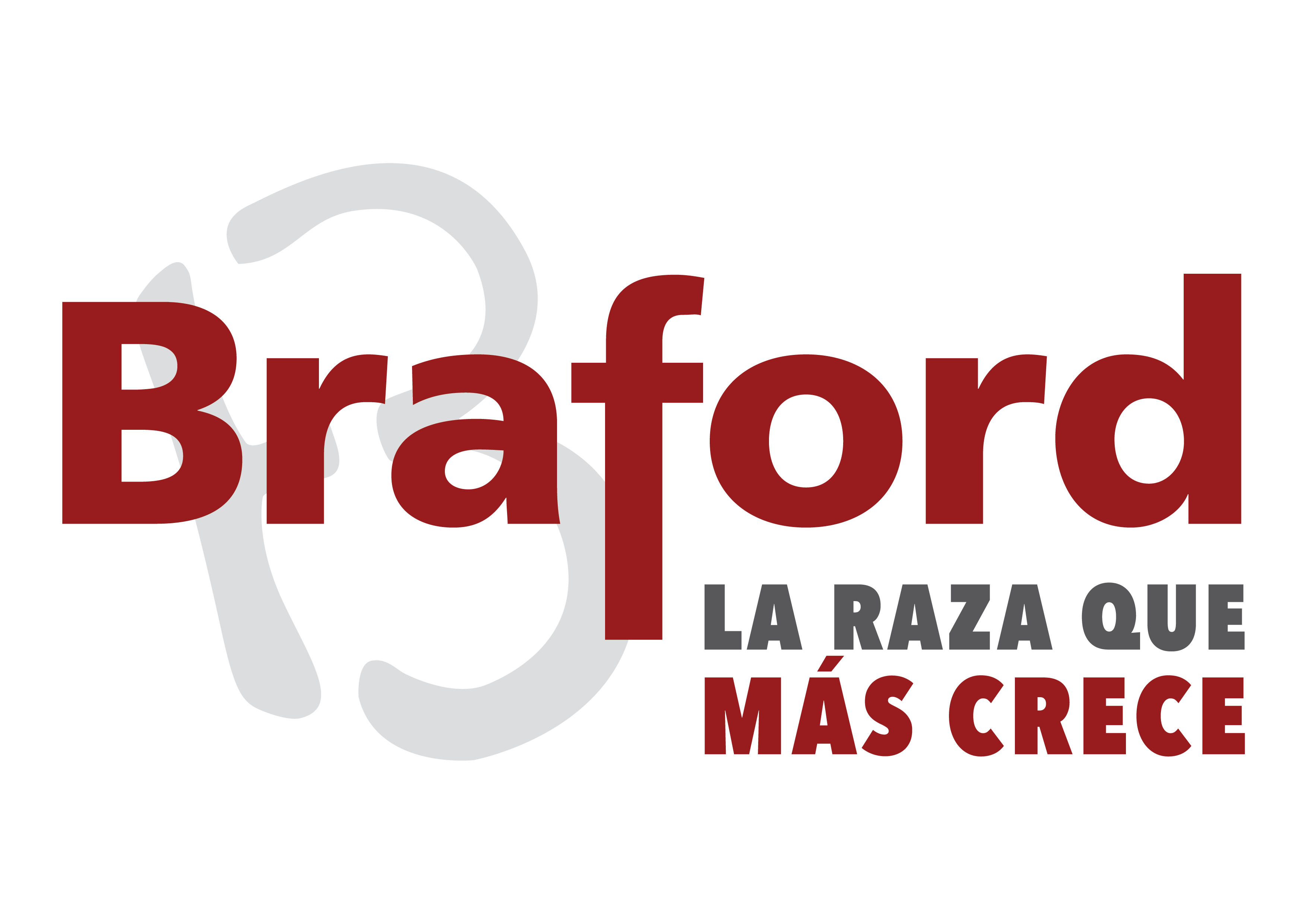 Asociación Braford Argentina